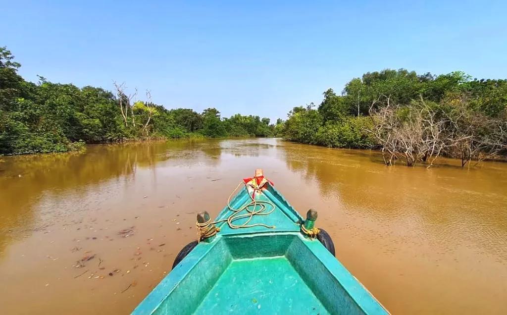Bhitarkanika Wildlife & Mangrove Safari Tour image 1