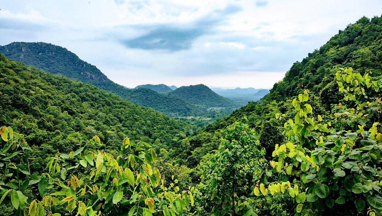 Putudi Waterfall & Phulbani Nature Tour image 1