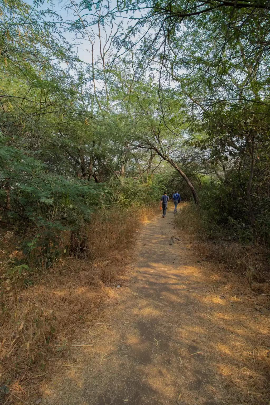 Complete Lonar Nature & Heritage Tour image 1