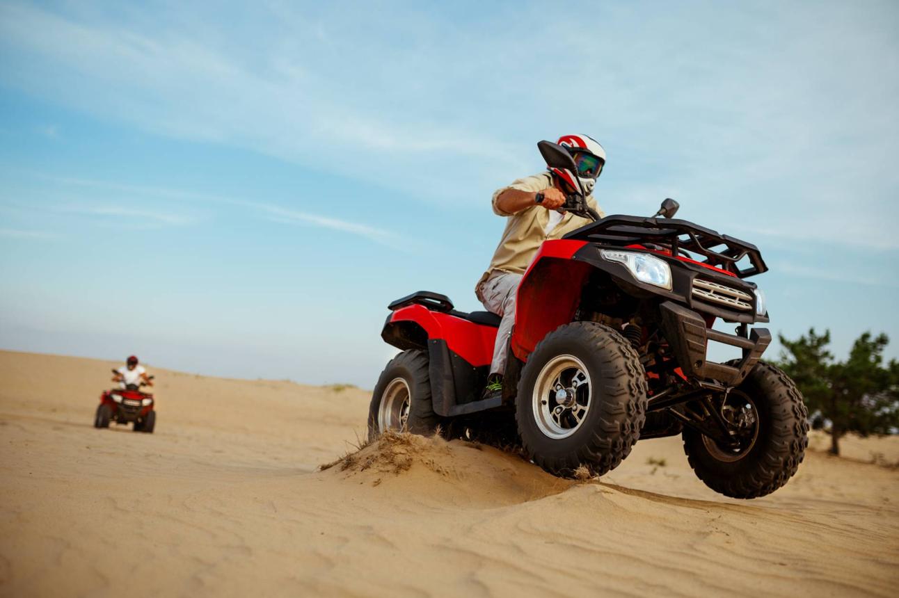 Sangam Farms Farm & Adventure Experience image 1
