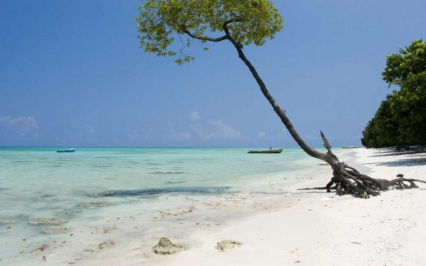 Andaman 5 Nights / 6 Days Beach & Baratang Adventure image 1