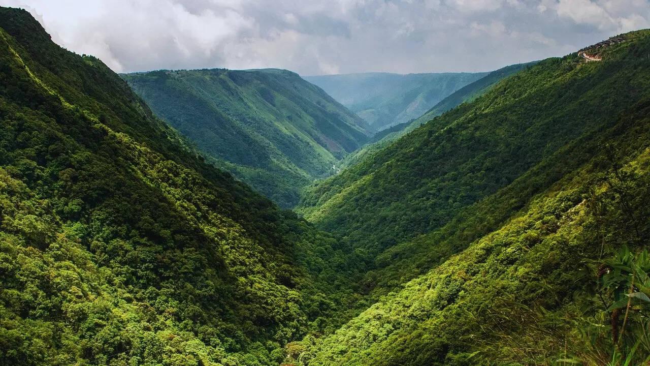 North East India Nature & Culture Journey image 1