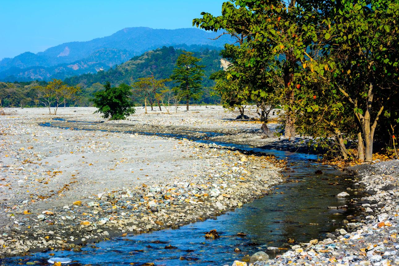 Buxa Tiger Reserve & Jayanti Nature Tour image 1