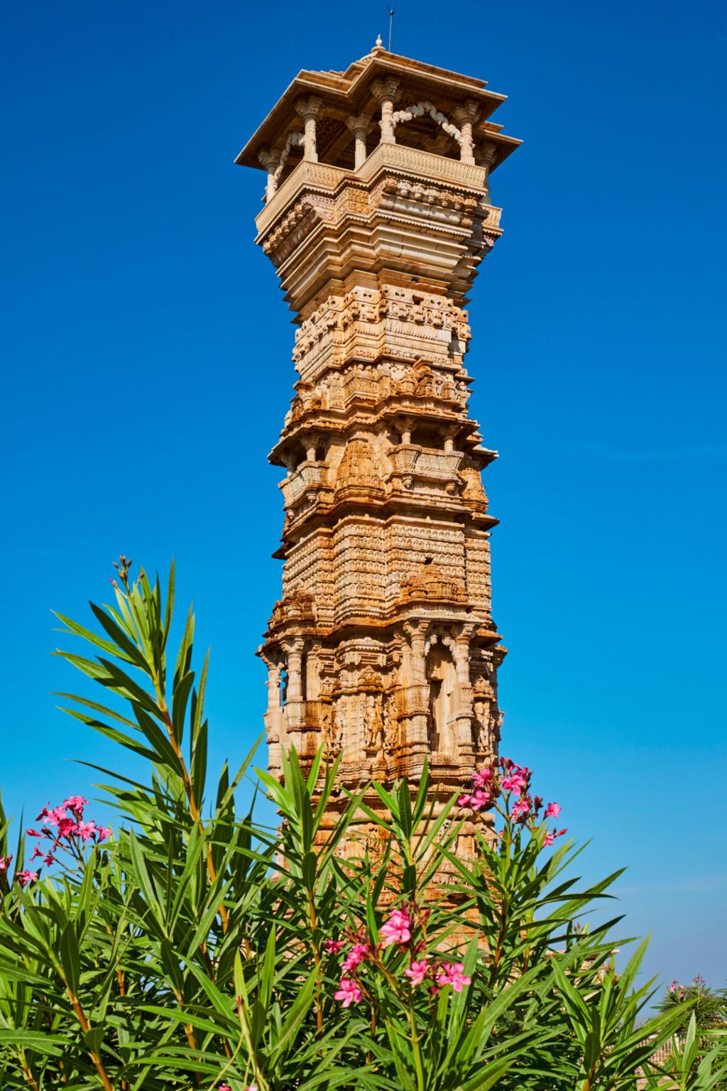 Chittorgarh Fort & Royal Heritage Tour image 1