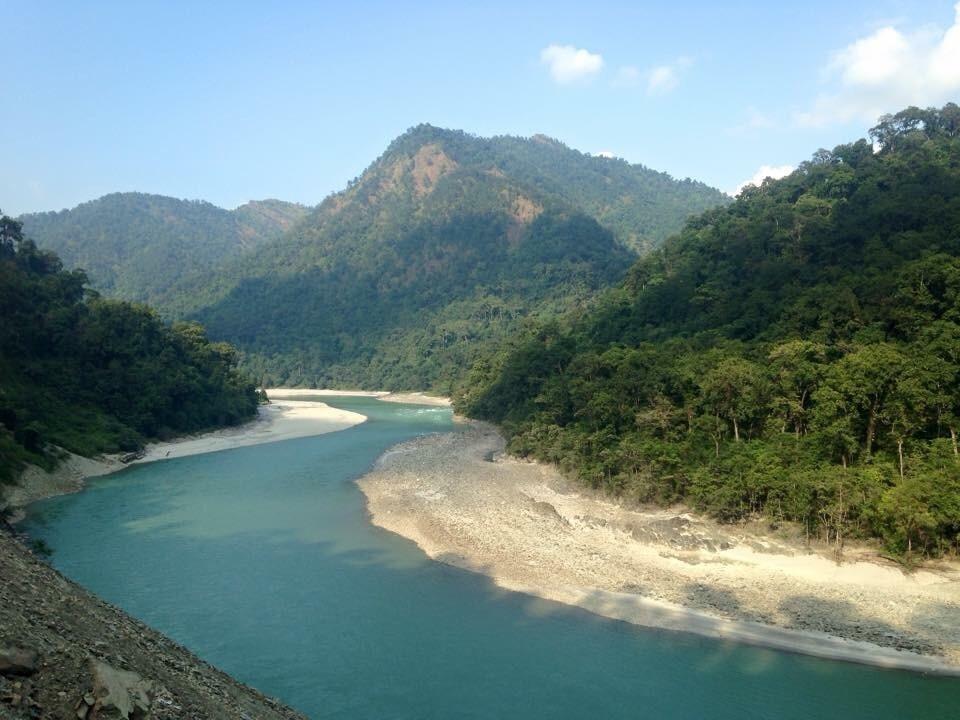 Gorumara Wildlife & Tea Garden Experience image 1
