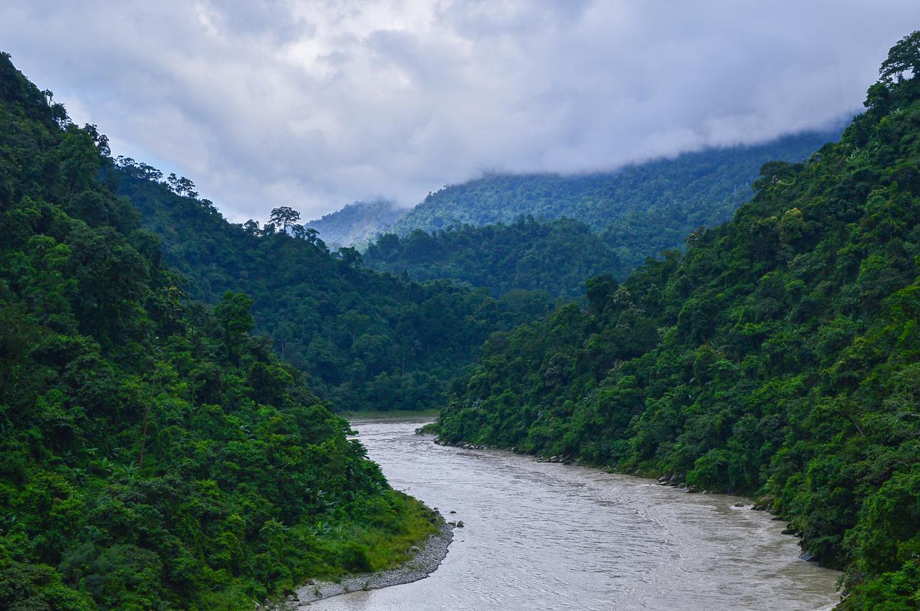 Jaldapara & Teesta River Nature Tour image 1