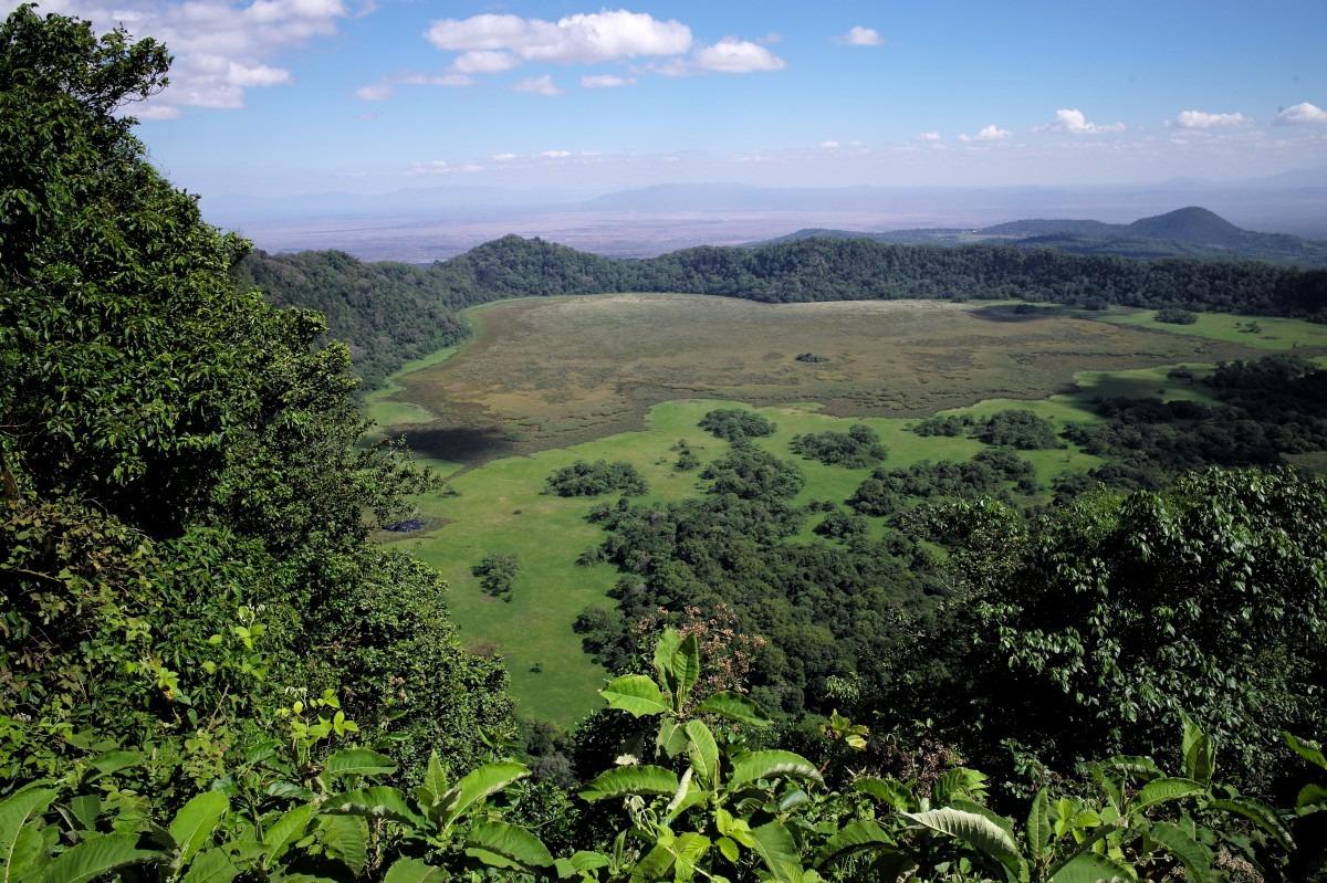 Arusha Wildlife Safari Experience image 1
