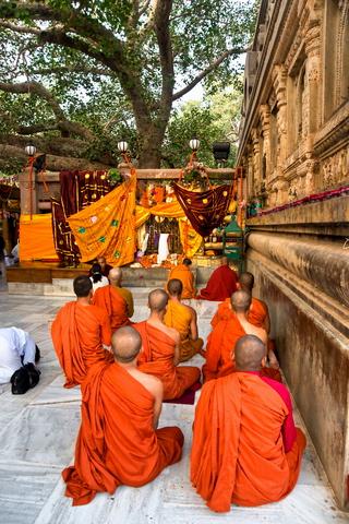 Bodh Gaya Buddhist & Meditation Experience image 1