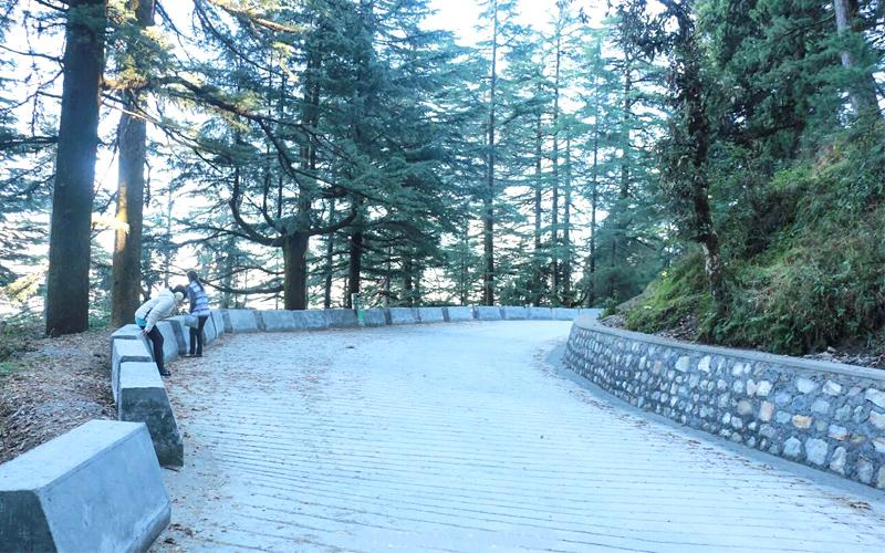 Mussoorie Full Day Hiking Tour image 1