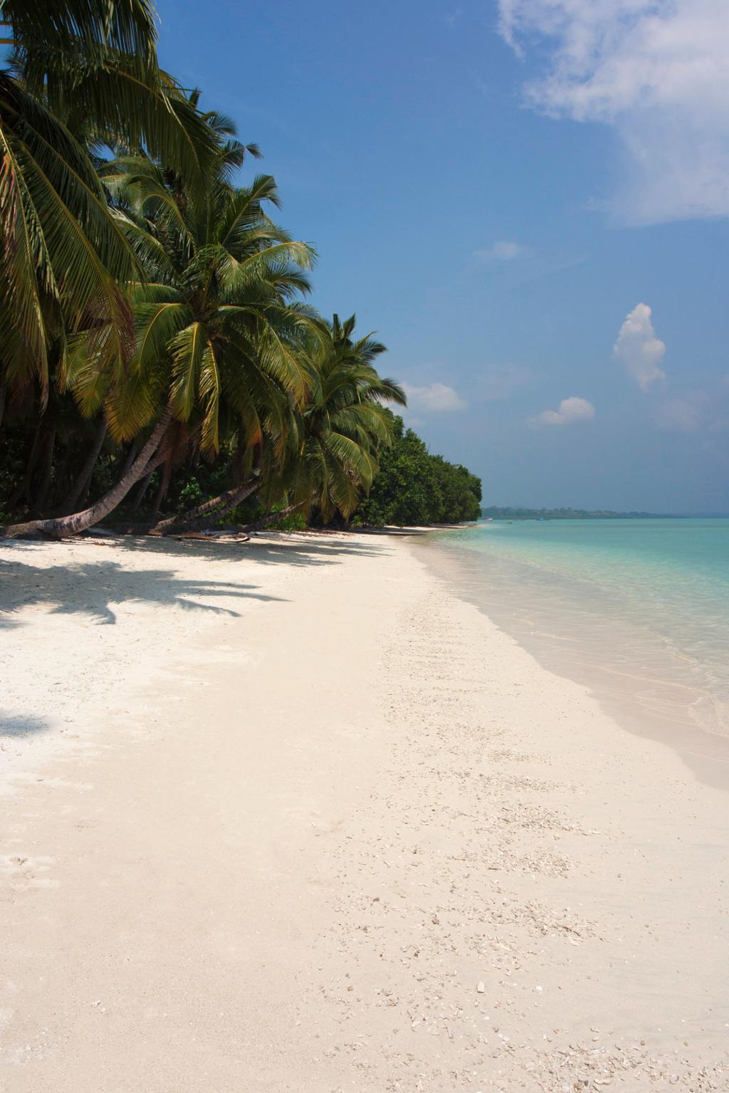 Port Blair & Havelock Island Tour image 1