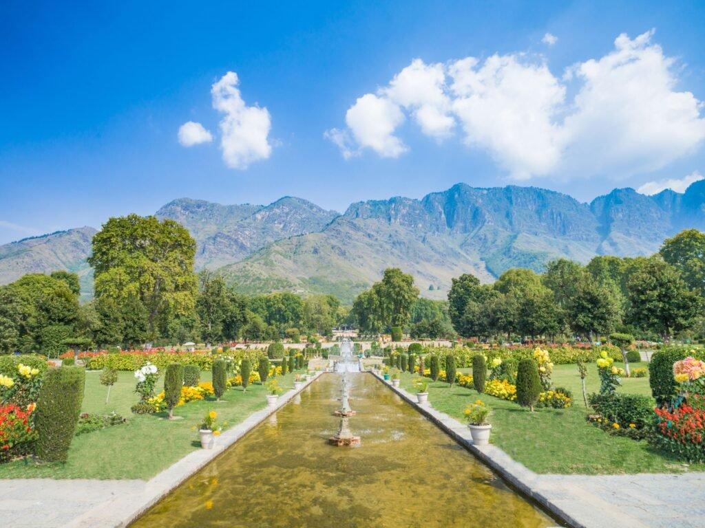 Srinagar Dal Lake & Mughal Gardens Tour image 1
