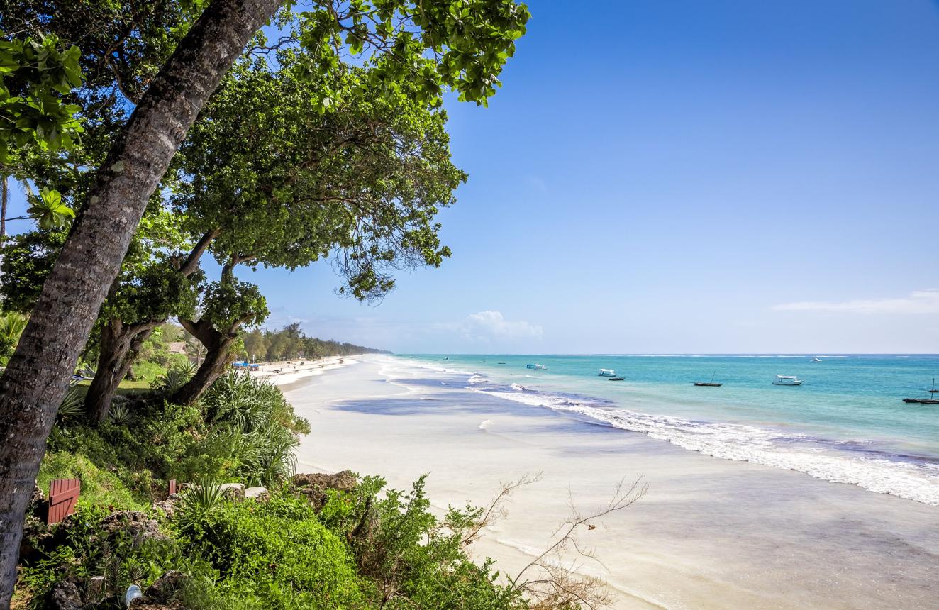 Diani Beach & South Coast Experience image 1