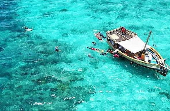 Shimoni & Wasini Island Experience image 1