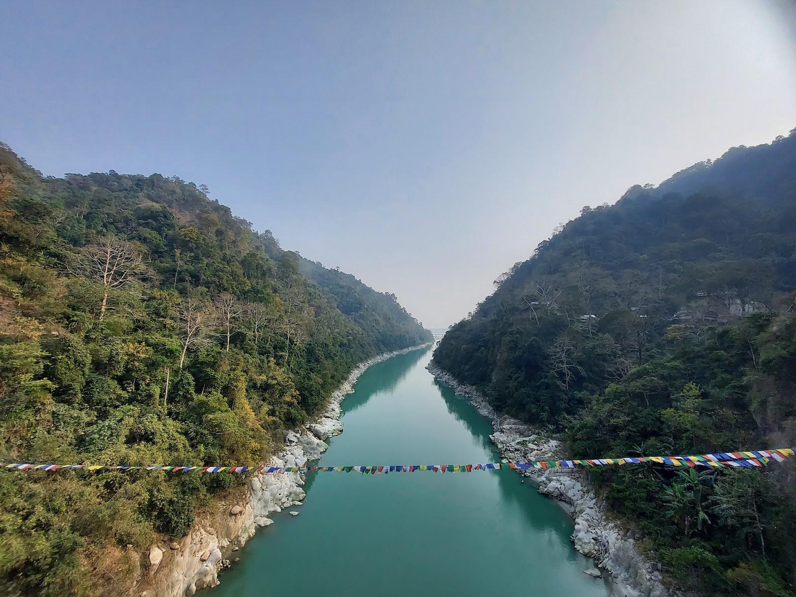 Gorumara National Park Wildlife Experience image 1