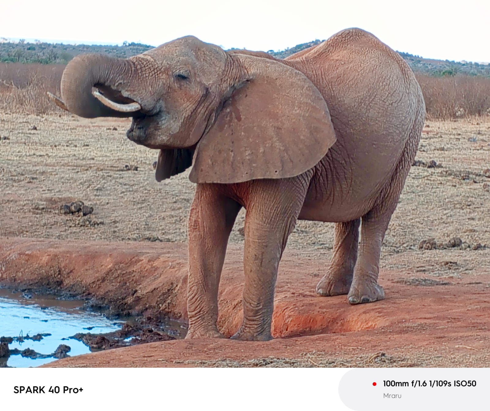 2 DAYS TSAVO EXPLORER SAFARI. image 1