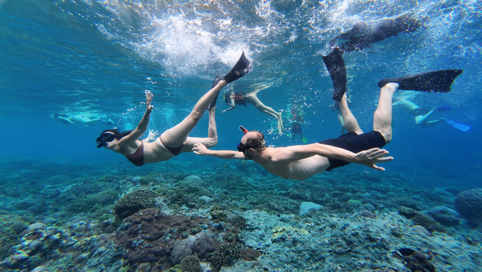 Manta Point Snorkeling and West Penida Island Tour image 1