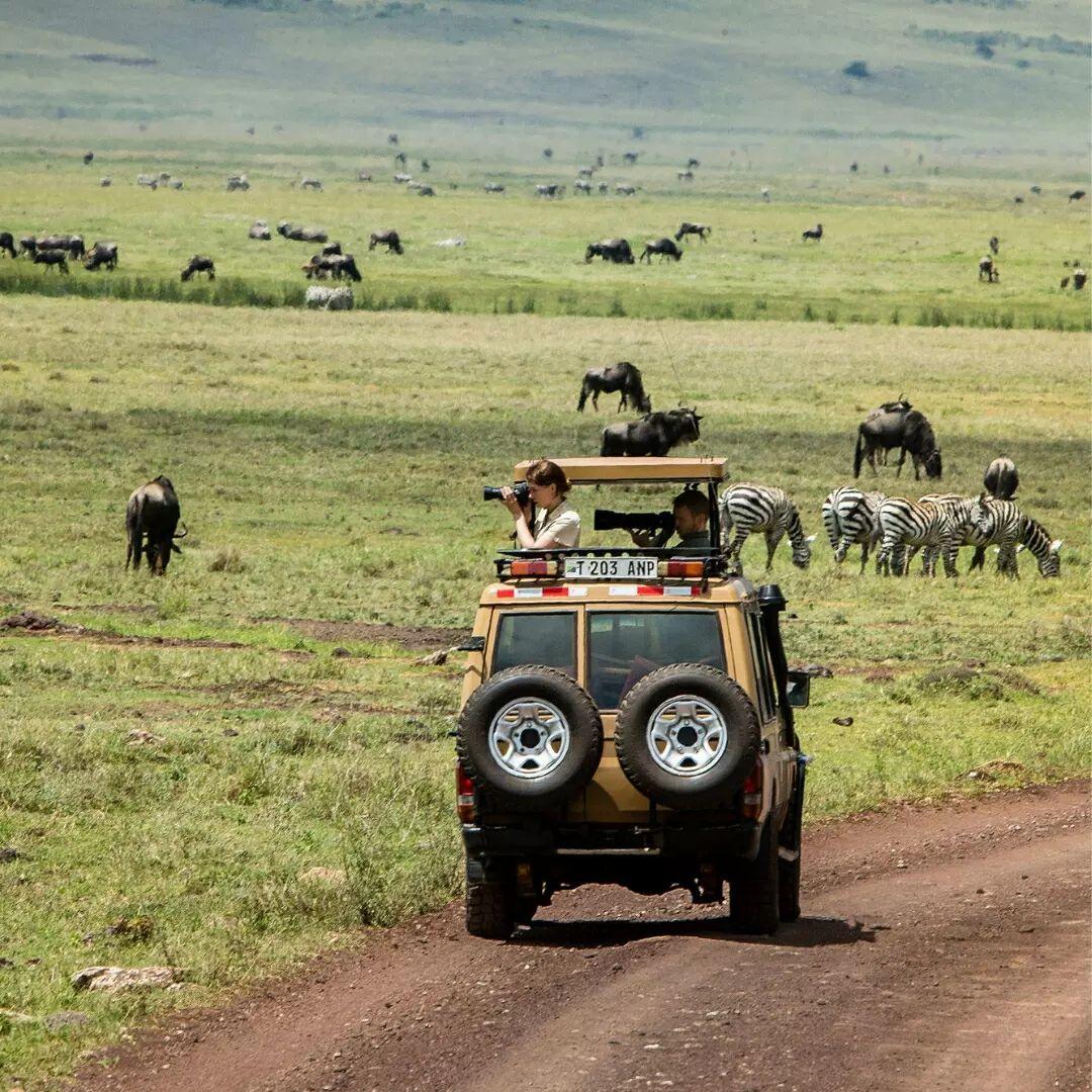 Tanzania Classic Wildlife Safari image 1