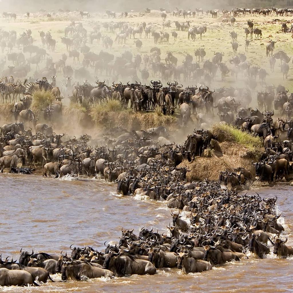 Tanzania Wildlife & Cultural Adventure image 1