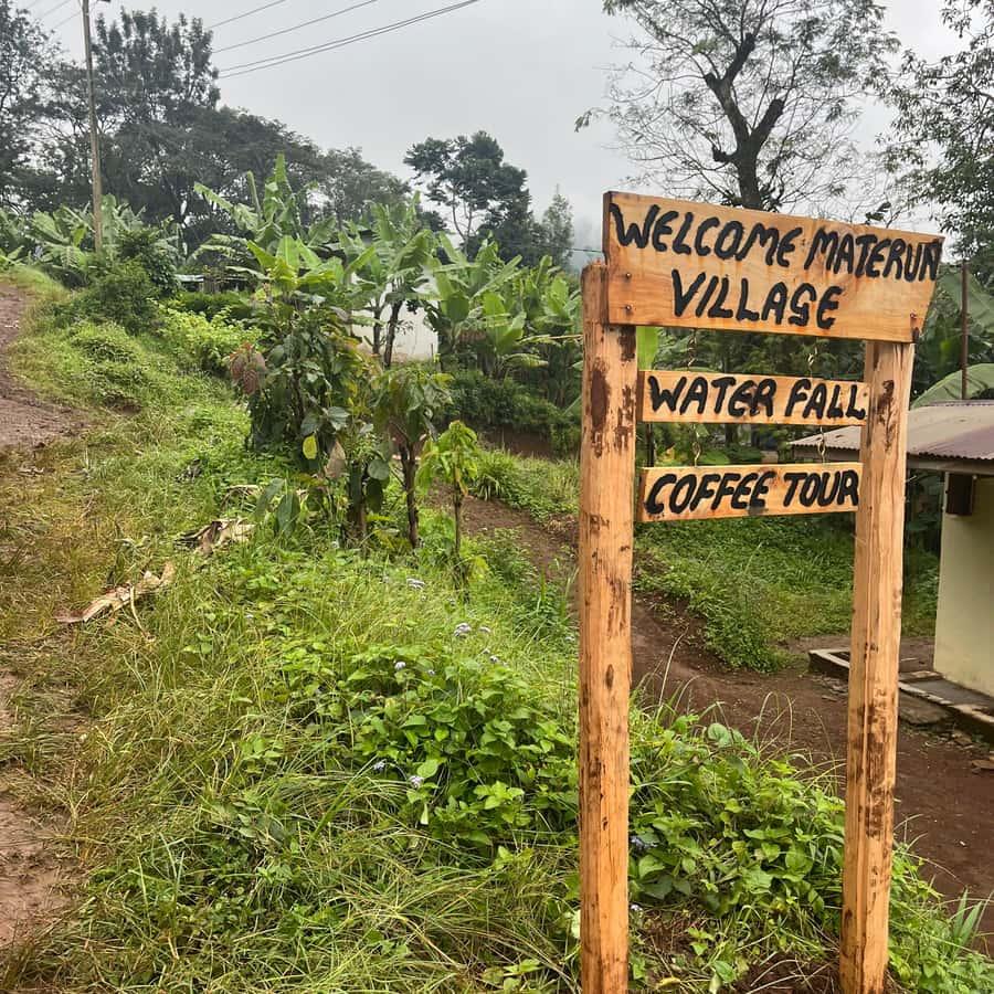 Materuni Waterfalls, Coffee & Kikuletwa Hot Springs image 1