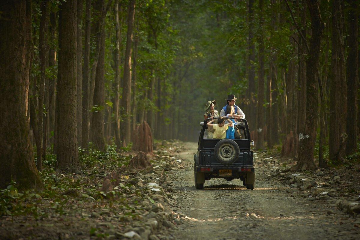 Jim Corbett Jungle Safari Experience image 1