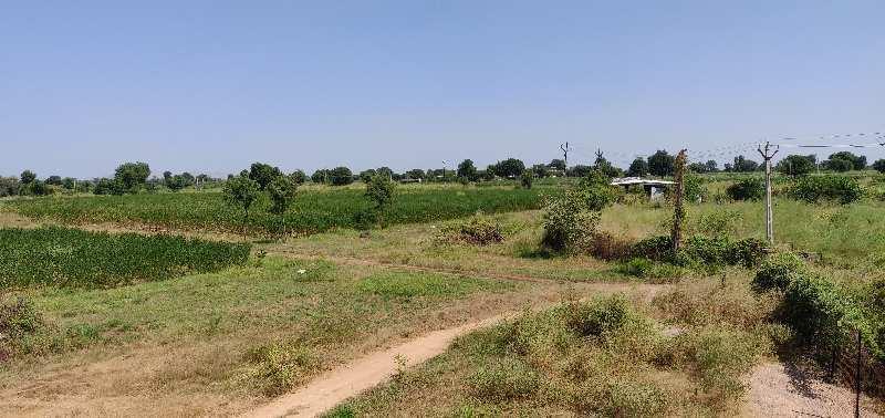 Himmatnagar Full Day Guided Tour image 1