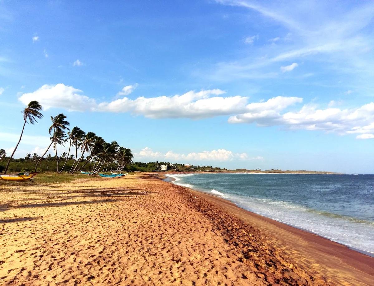 Bundala Wildlife & Southern Coast Experience image 1