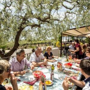 Pompeii and Wine tasting Experience on the slope of Mount Vesuvius image 1