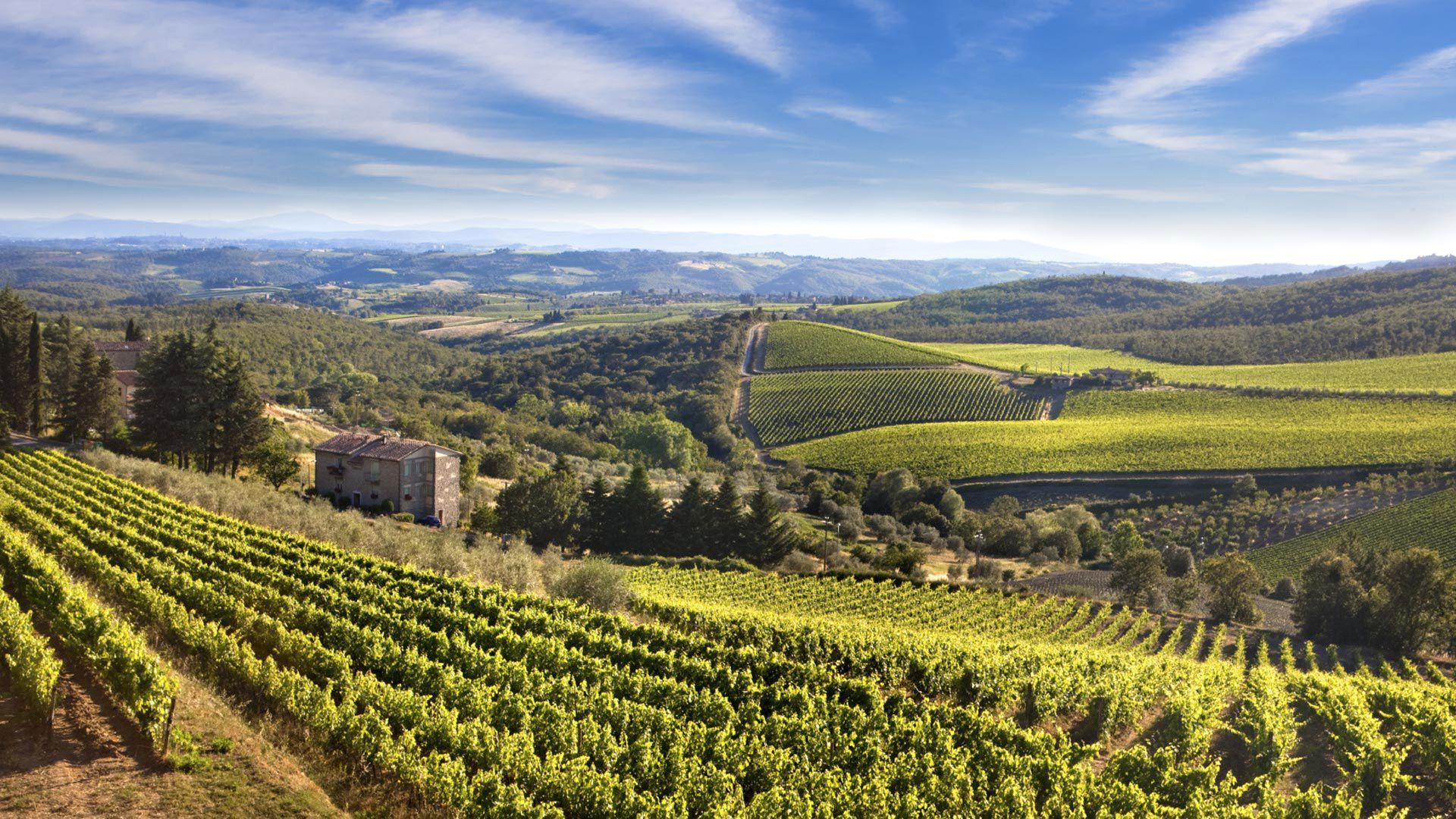 Tuscan Countryside, Food & Wine Culture Tour image 1