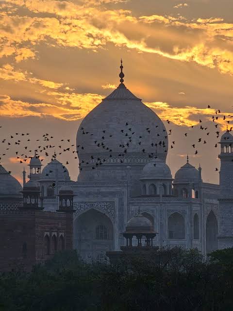 Taj Mahal Sunrise & Agra Fort Imperial Trail image 1