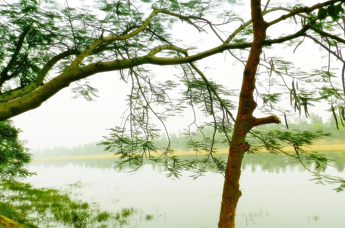 Bolla Kali Temple & Atreyee River Nature Tour image 1