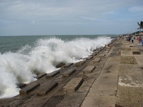 Digha & Shankarpur Coastal Experience image 1