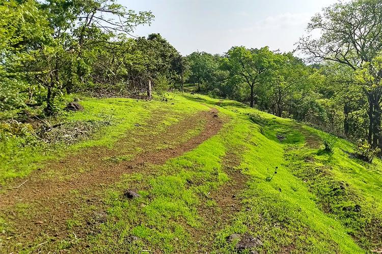 Thane Heritage & Nature Discovery image 1