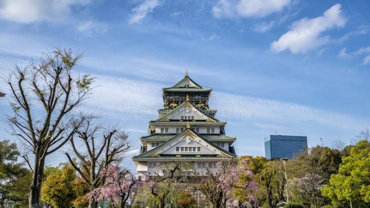 OSAKA FULL-DAY CITY TOUR image 1
